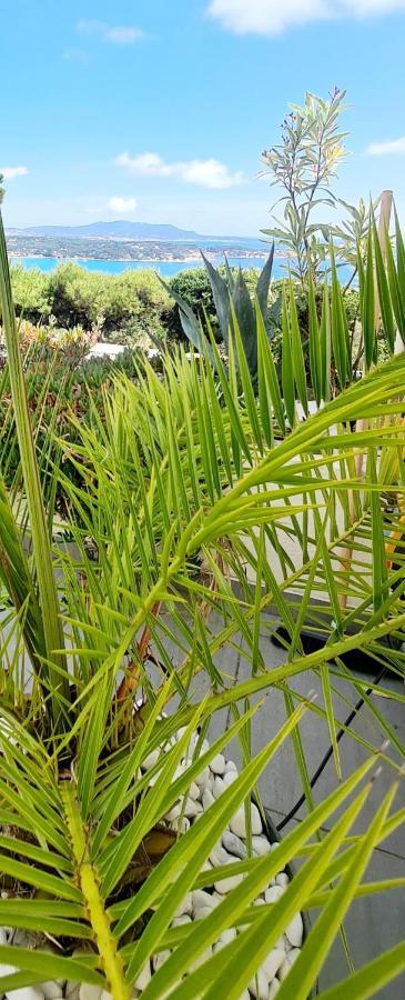 Vue Mer Imprenable Et Piscine Bandol Ngoại thất bức ảnh